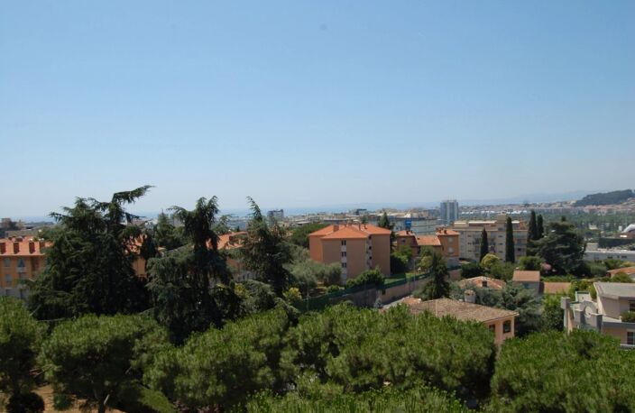 nice corniche fleurie — photo 5