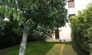 Photo N° 5