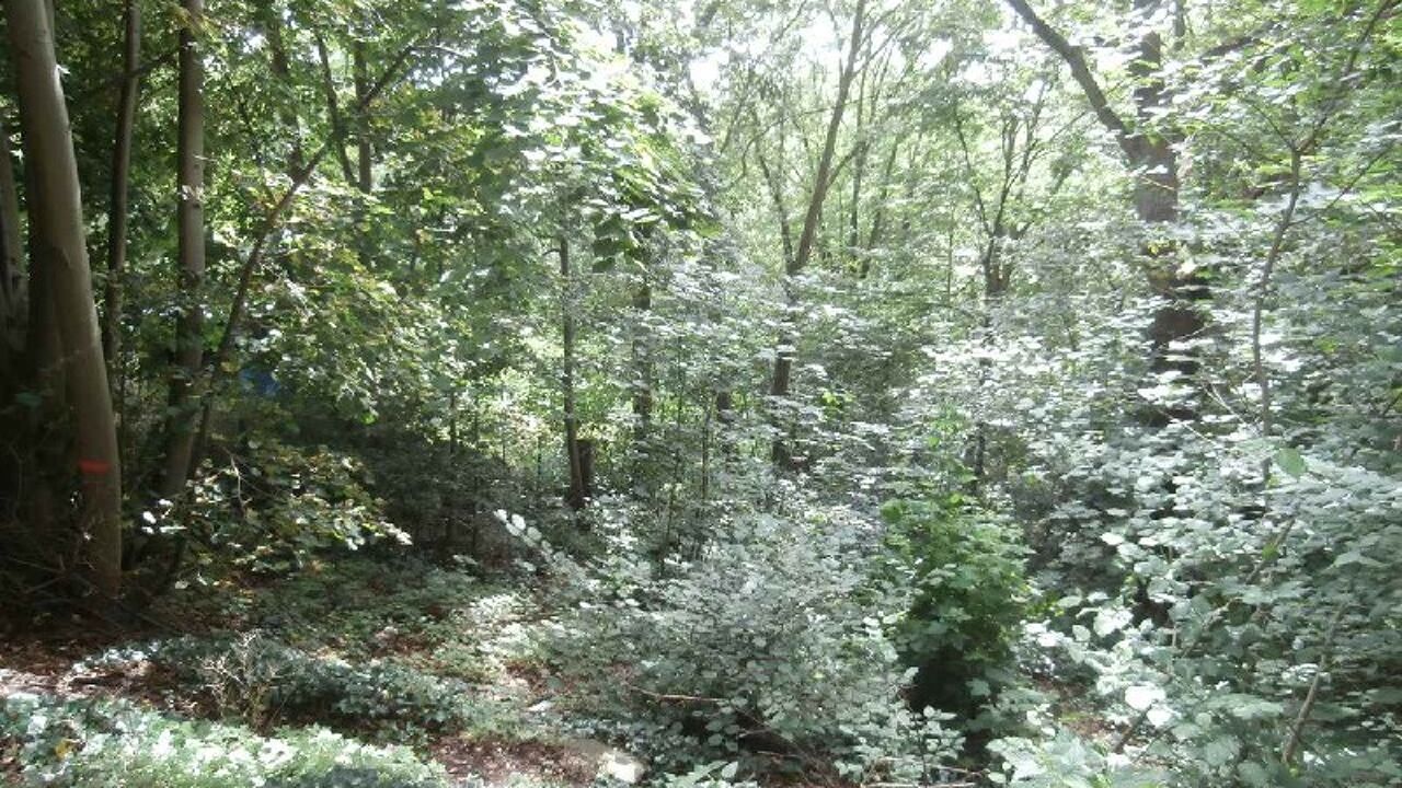 terrain  pièces 455 m2 à vendre à Coye-la-Forêt (60580)