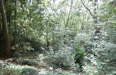 vente terrain 110 000 € à proximité de Coye-la-Forêt (60580)