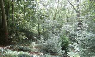 Terrain  455 m² à vendre à Coye-la-Forêt (60580)