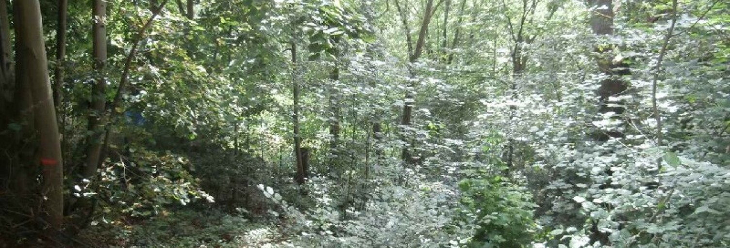 Terrain  455 m² à vendre à Coye-la-Forêt (60580)