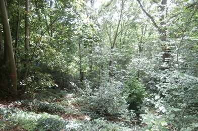 Terrain  110000 €