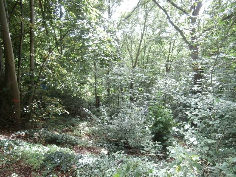 Terrain à construire  455 m²  — photo 1