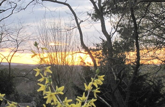 Vente terrain  455 m² Coye-la-Forêt (60580) — photo 2