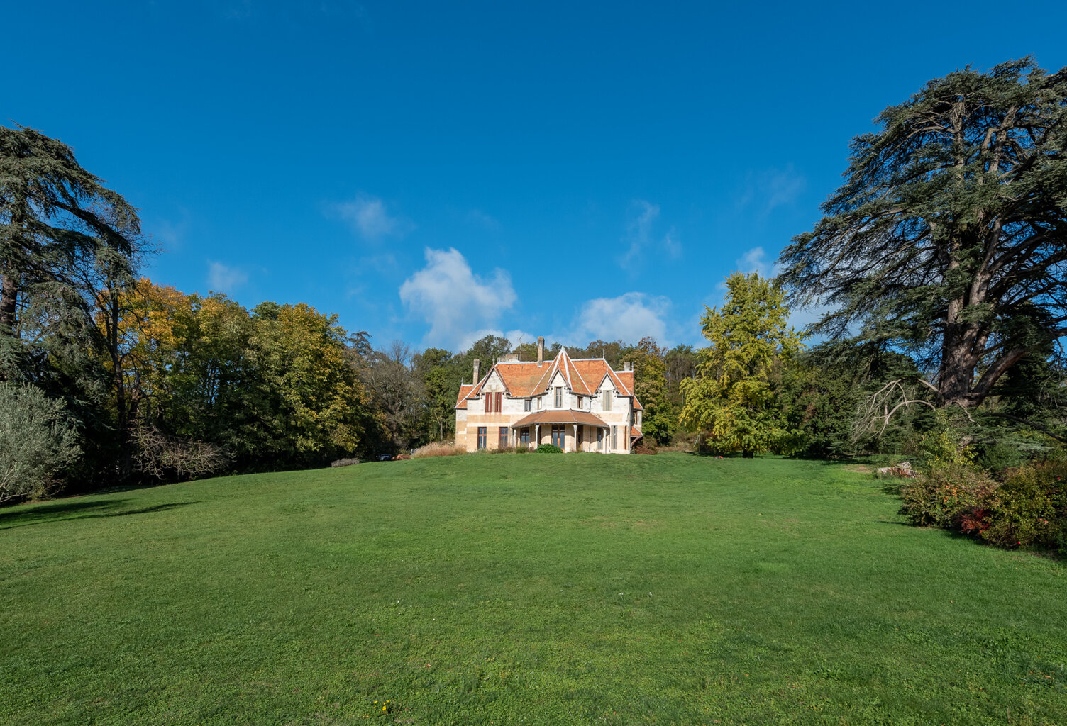 Proche Lyon,manoir XIXème,650 m2 hab,parc de 3ha,piscine. — photo 1