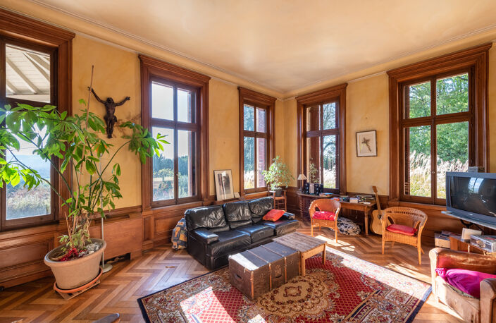 Proche Lyon,manoir XIXème,650 m2 hab,parc de 3ha,piscine. — photo 5