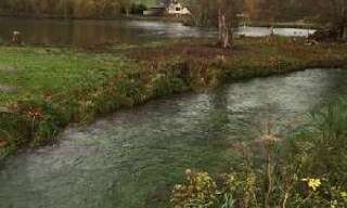 Maison 5 Pièces 254 m² à vendre à Épouville (76133)