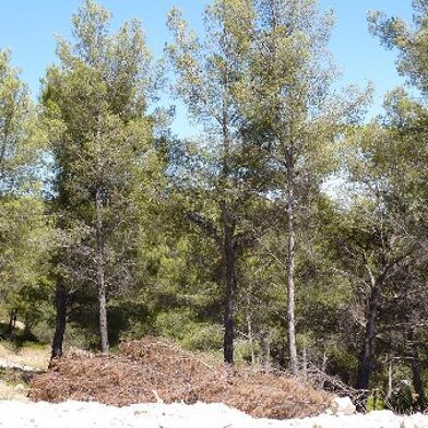 Maison 5 pièces 2080000 €