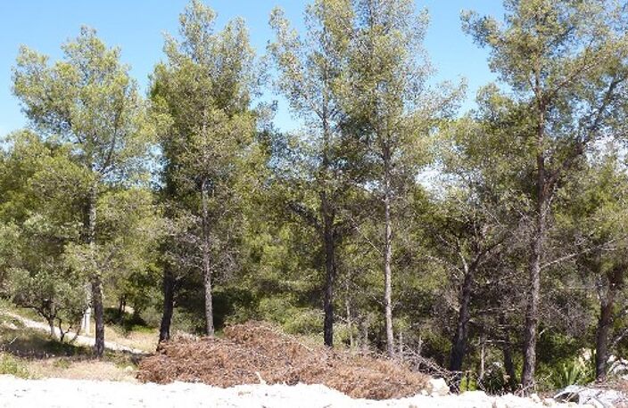 Vente maison 5 pièces 270 m² Bandol (83150) — photo 4