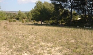 Photo N° 3