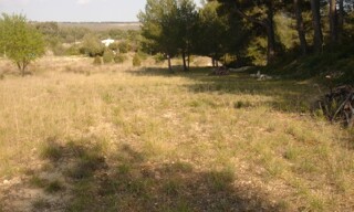 Photo N° 4