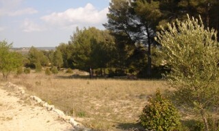 Photo N° 5