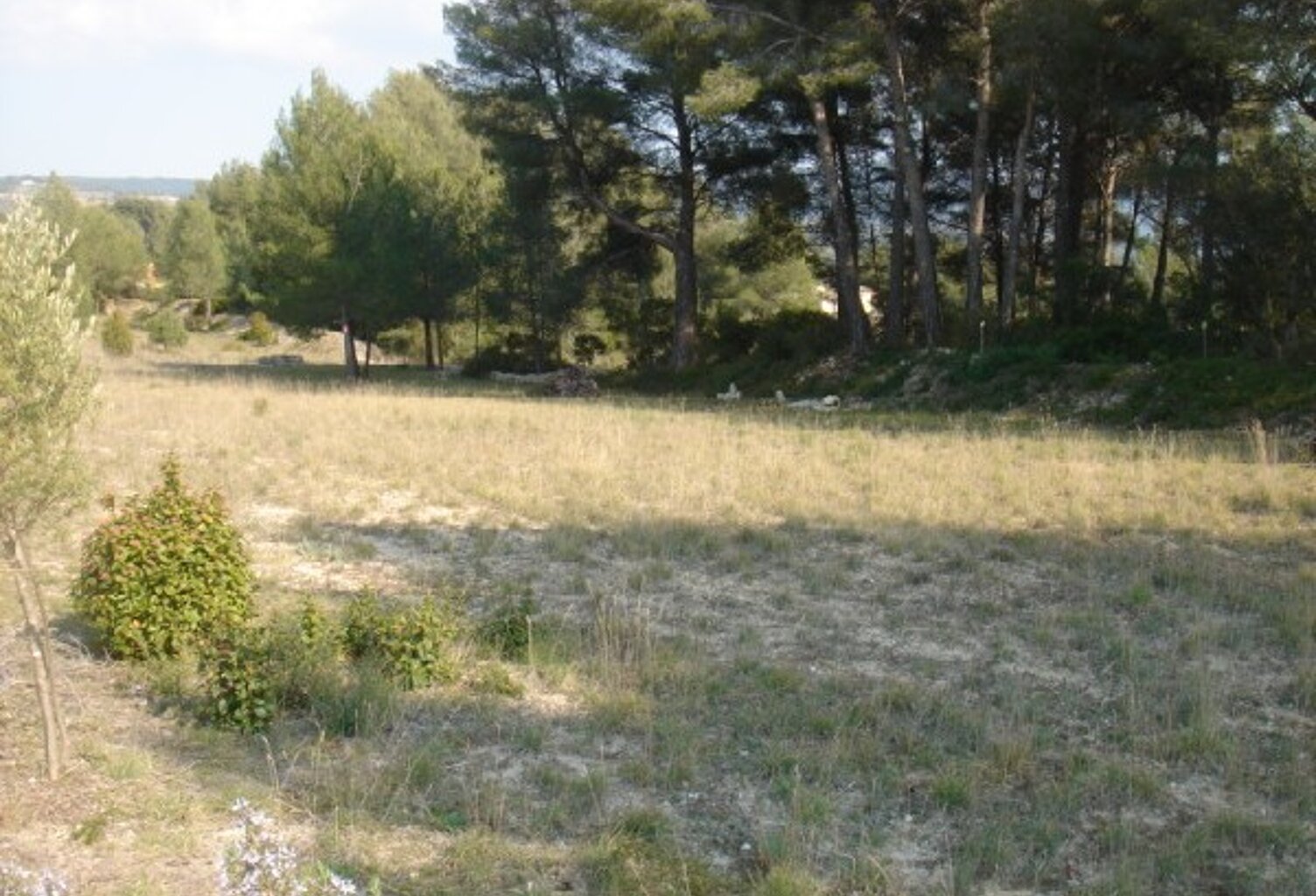 Vente terrain  3499 m² Le Beausset (83330) — photo 1
