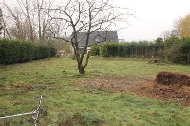 Terrain  62000 €