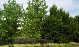 Appartement   m² à vendre à Nantes (44000)