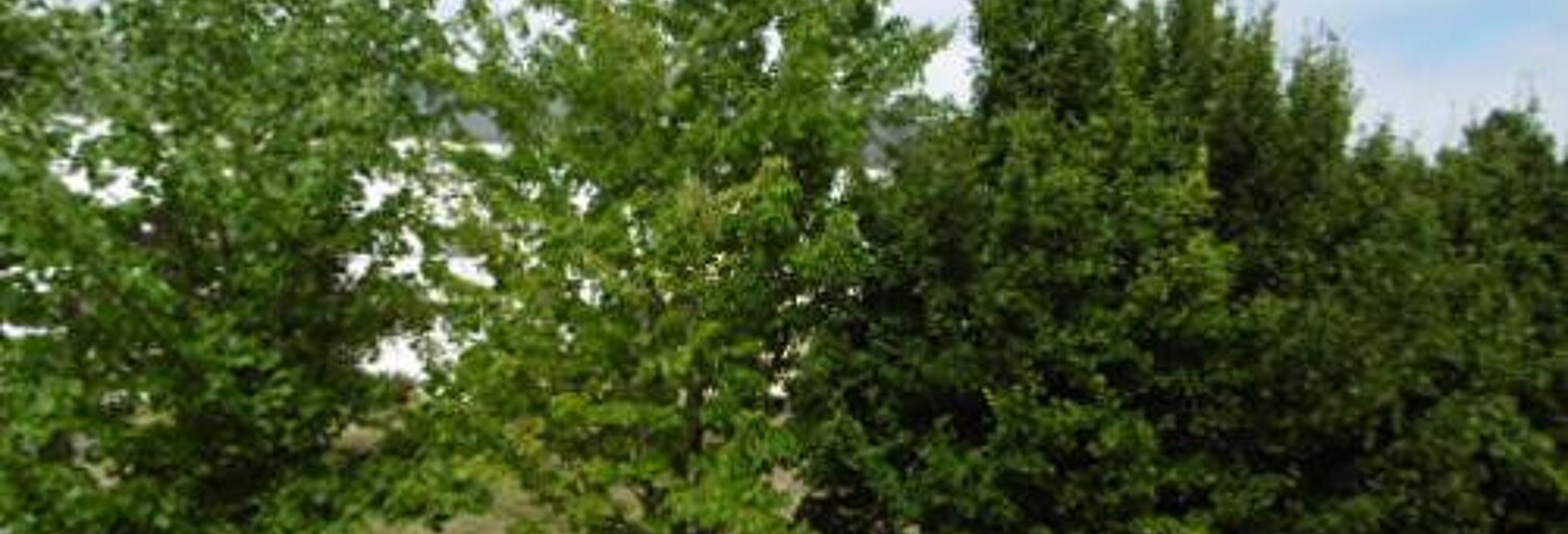 Appartement   m² à vendre à Nantes (44000)