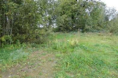 Terrain  65000 €