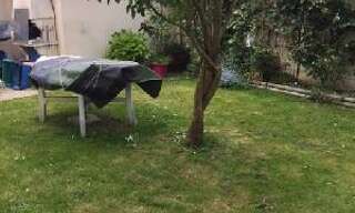 Photo N° 2