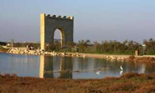 Maison 6 Pièces 160 m² à louer à Villeneuve-lès-Maguelone (34750)