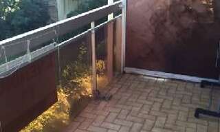 Appartement  65 m² à vendre à Le Havre (76620)