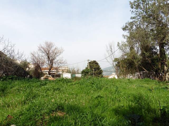 Terrain 360 m² à Toulon — photo du bien
