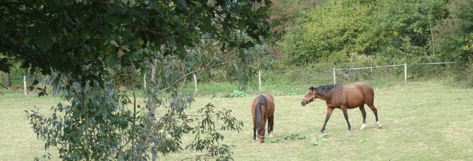 Photo N° 2