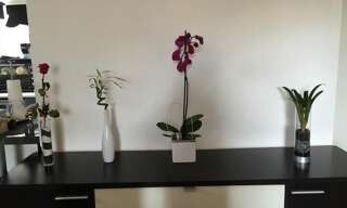 Photo N° 2