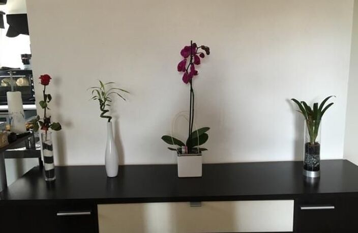 Vente appartement 1 pièce 34 m² Calais (62100) — photo 2