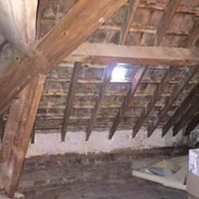 Appartement 3 pièces 520 €