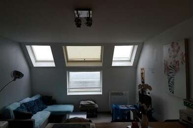 Appartement 3 pièces 530 €