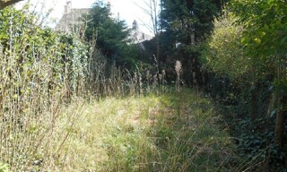 Photo N° 6