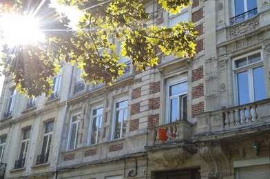 Appartement 3 pièces 565 €