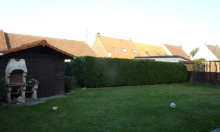 Photo N° 9