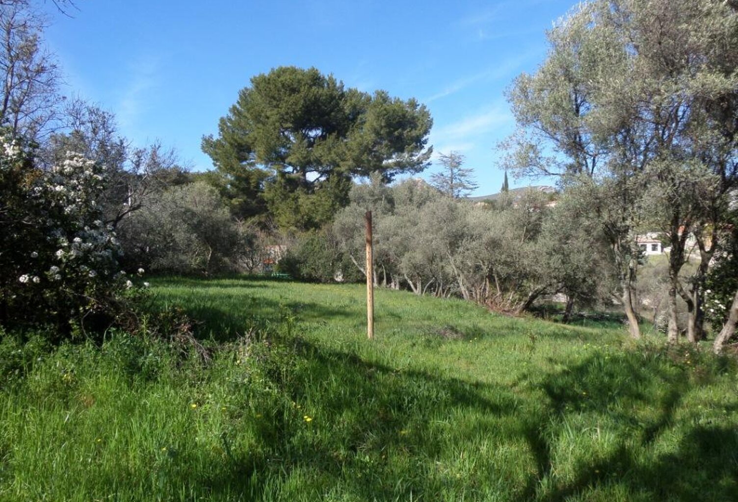LA TREILLE 11EME — photo 1