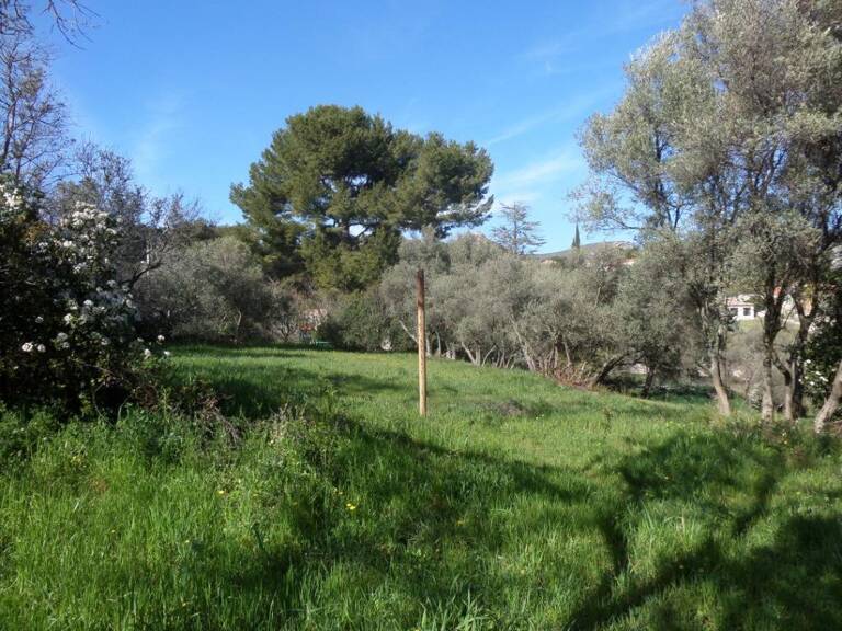 LA TREILLE 11EME — photo 1