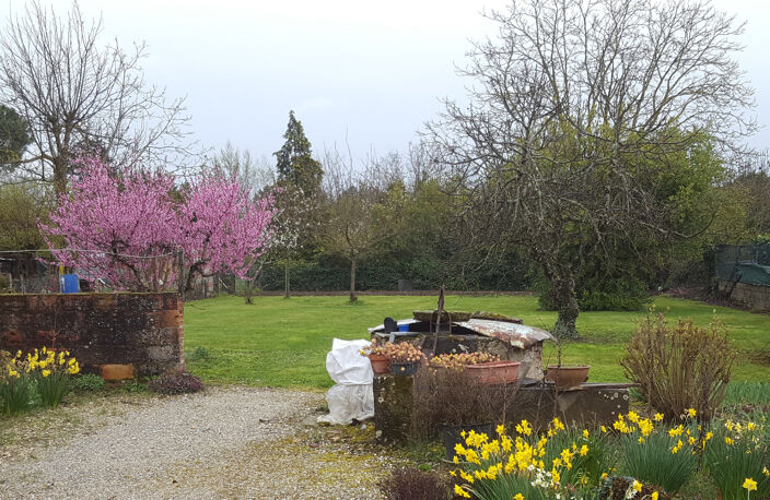 Maison de village avec jardin — photo 2