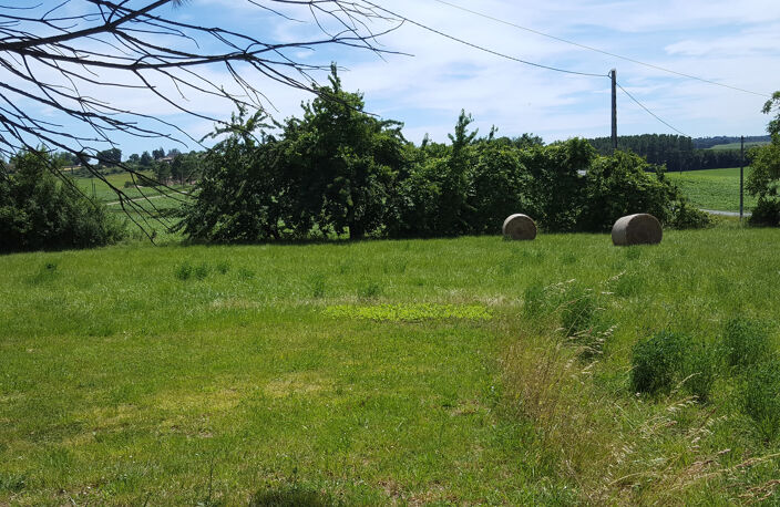 Maison à la campagne — photo 2