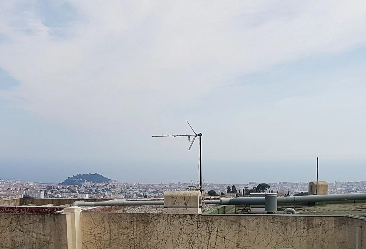 nice gairaut — photo 1