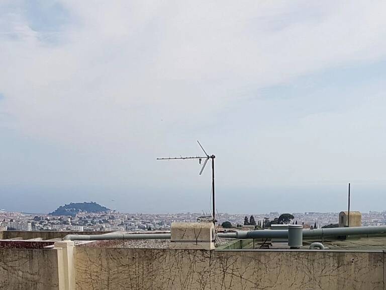 nice gairaut — photo 1