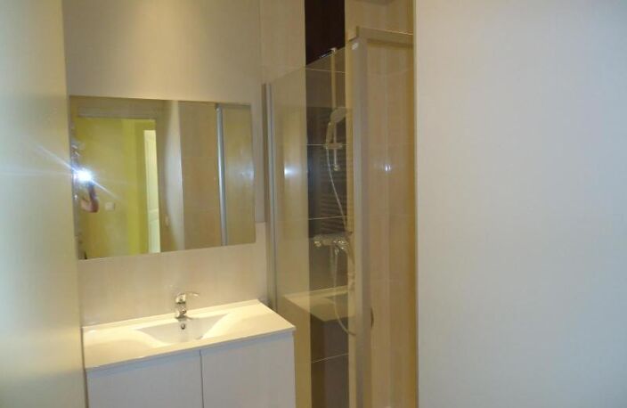 Location appartement 2 pièces 49 m² à Oullins-Pierre-Bénite (69310) — photo 4