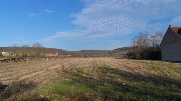 Photo Vente Terrain 5900 m² à Longeville en Barrois 44 000 ¤ image 2/4
