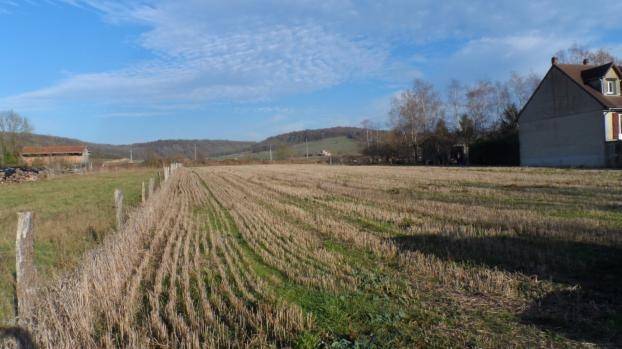 Photo Vente Terrain 5900 m² à Longeville en Barrois 44 000 ¤ image 3/4