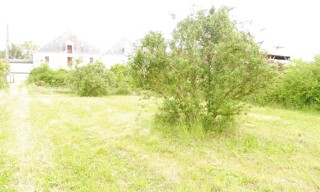 Photo N° 4