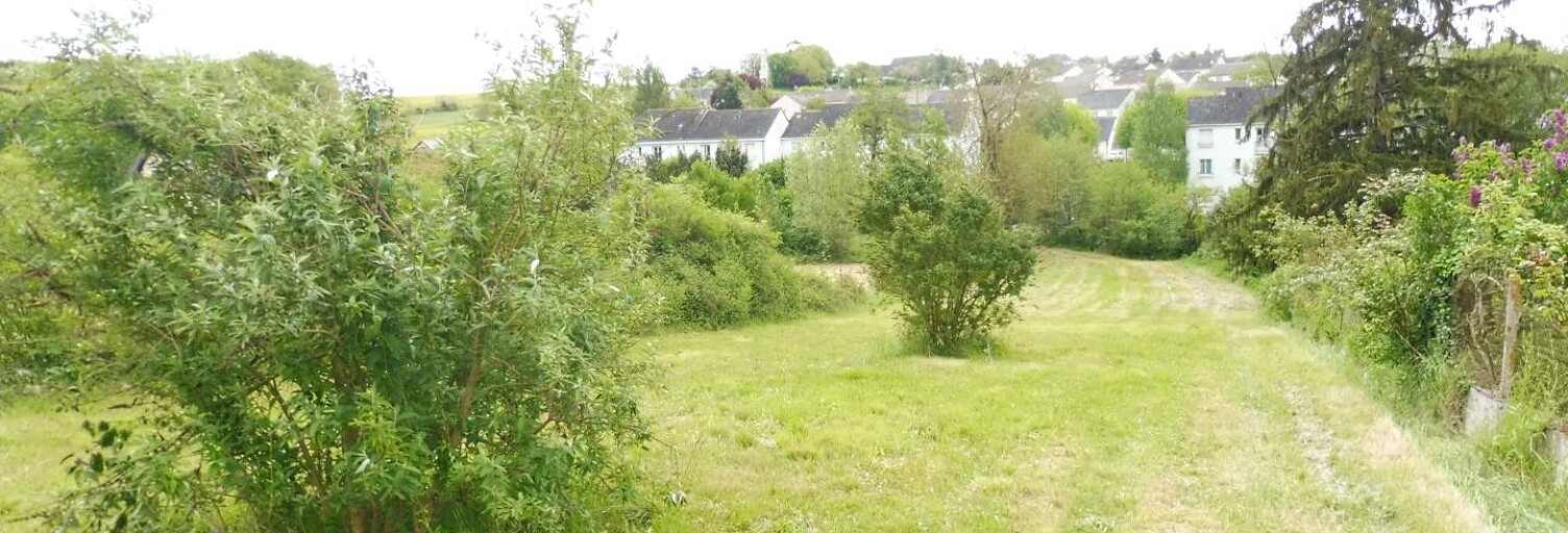 Terrain  1001 m² à vendre à Sainte-Maure-de-Touraine (37800)