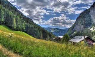 Photo N° 2