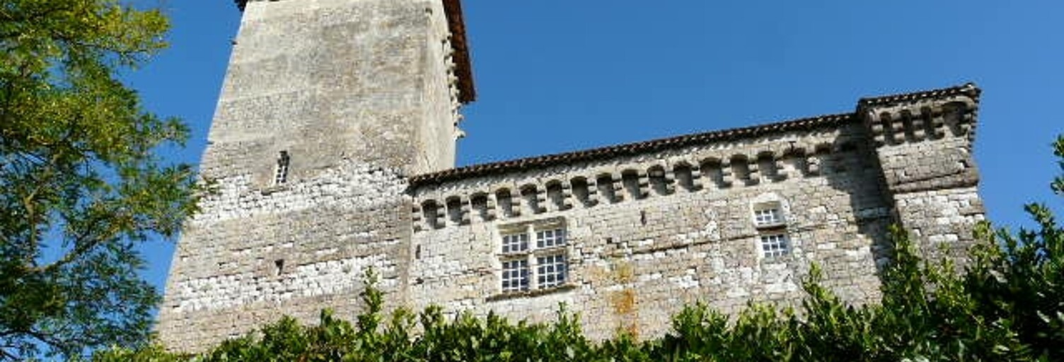 Maison 11 Pièces 750 m² à vendre à Toulouse (31000)