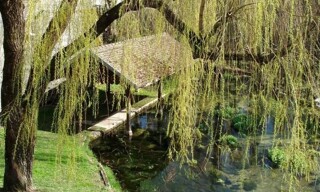Photo N° 5