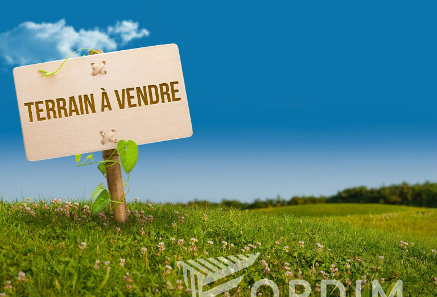 Terrain Chevannes 650 m2 — photo 1