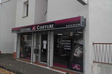 Commerce 2 pièces 85000 €